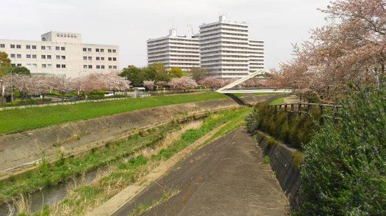 Shinyokohama Ekimae Park